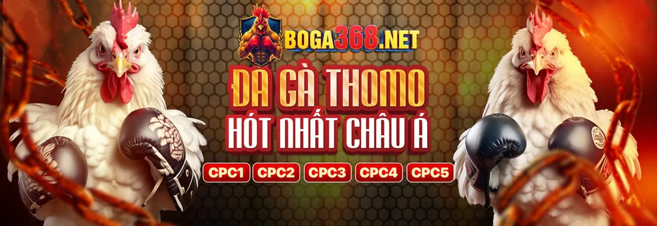 Đấu trường đá gà Thomo nổi bật