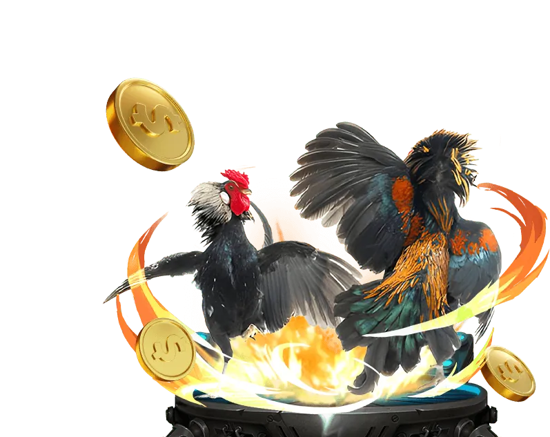 Lịch sử và văn hóa gà đá